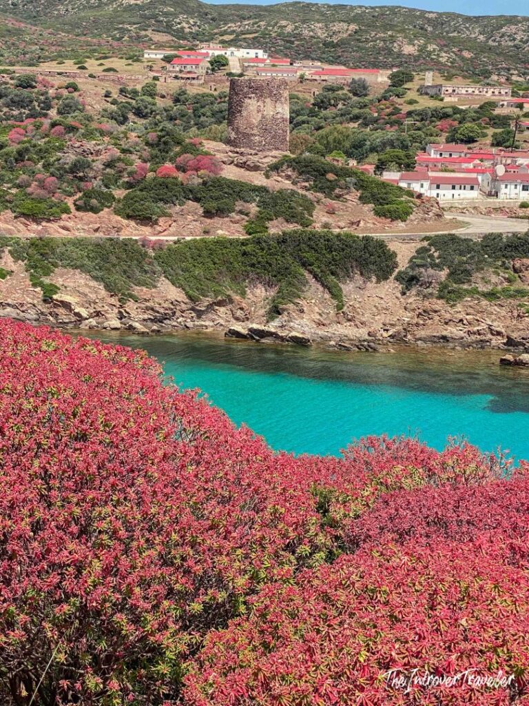 Asinara, Sardinia