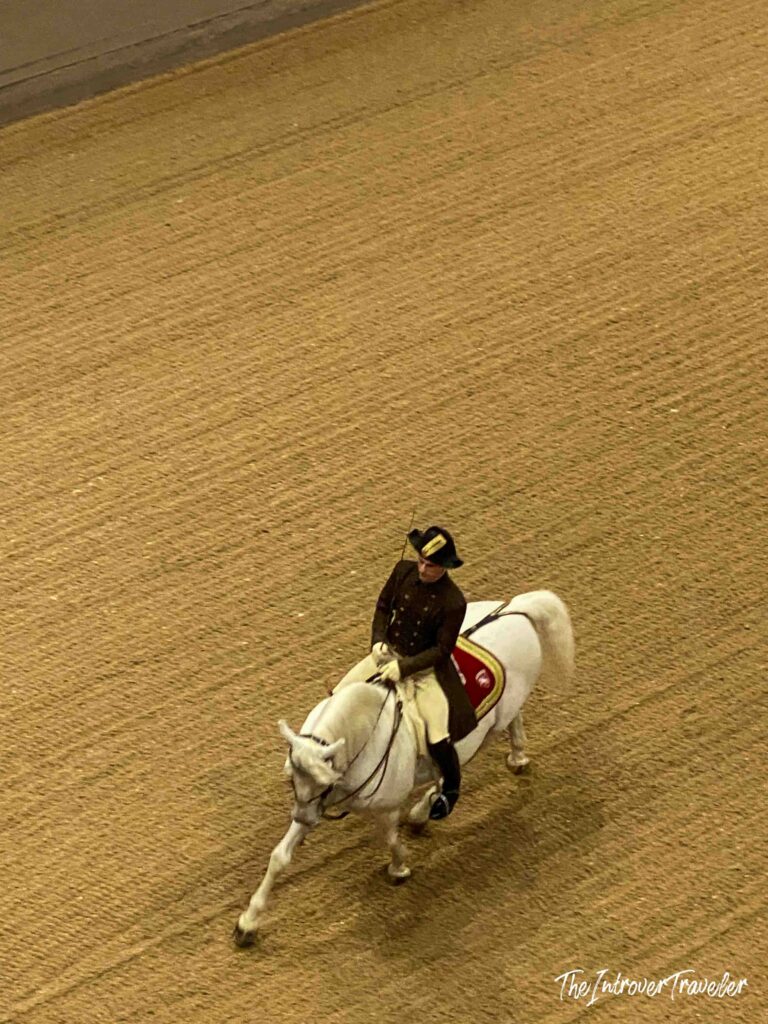 Spanish riding school Vienna