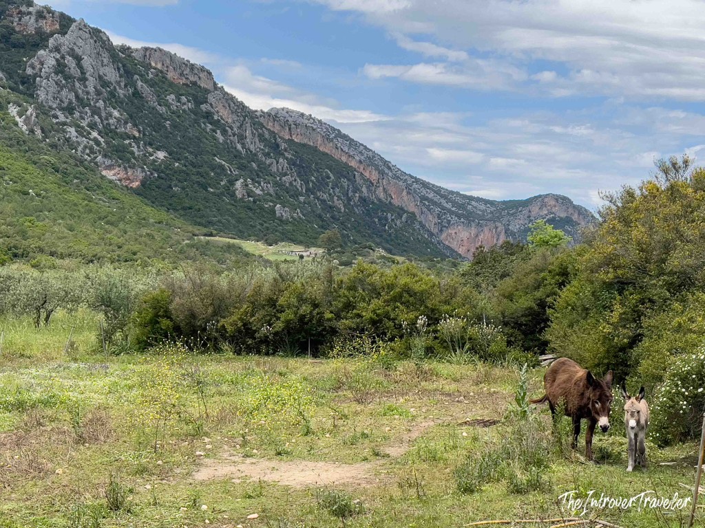 Magnalonga Dorgali, Sardinia, Italy