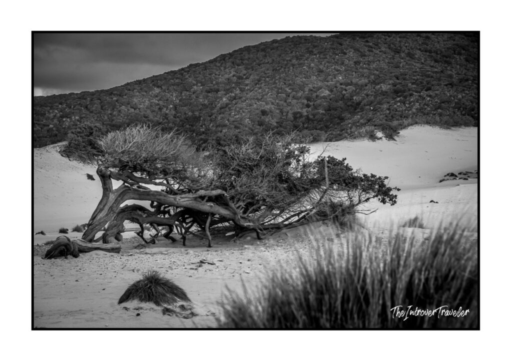 Dunes of Piscinas, Sardinia, Italy