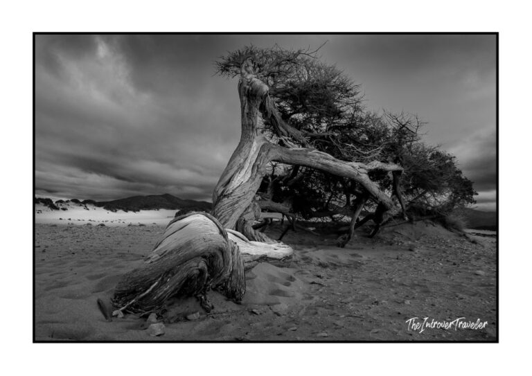 Wild Sardinia: Nature, Stone, Wind and Scrub