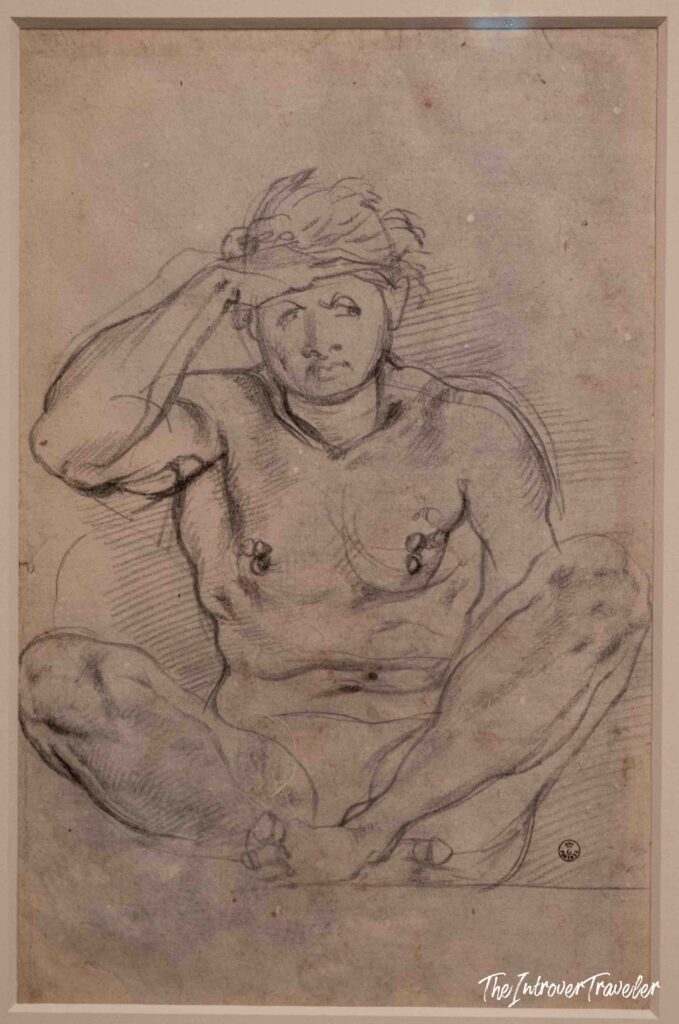 Pontormo at the Scuderie del Quirinale, Rome