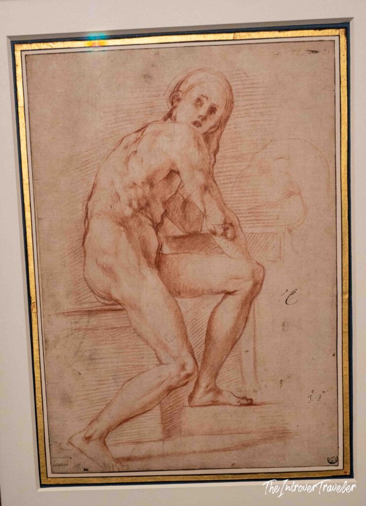 Pontormo at the Scuderie del Quirinale, Rome