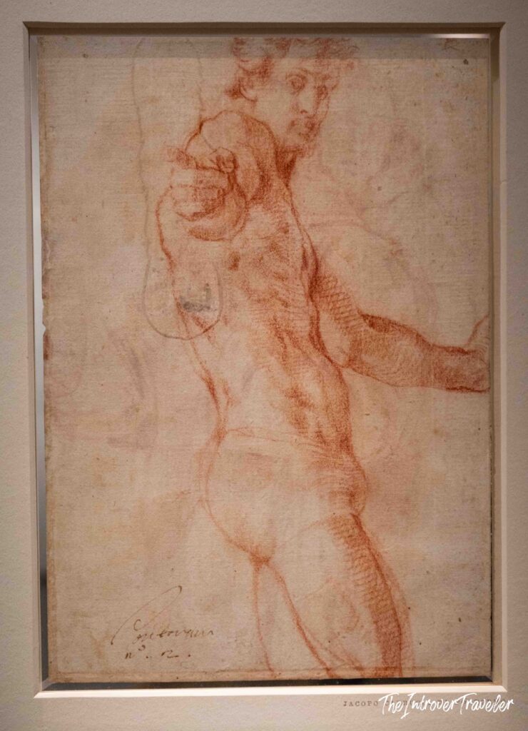 Pontormo's exhibition at the Scuderie del Quirinale, Rome