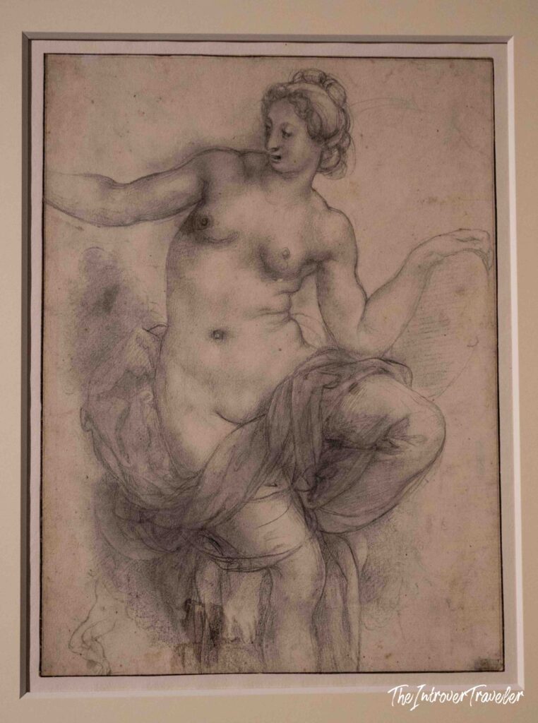 Pontormo's exhibition at the Scuderie del Quirinale, Rome