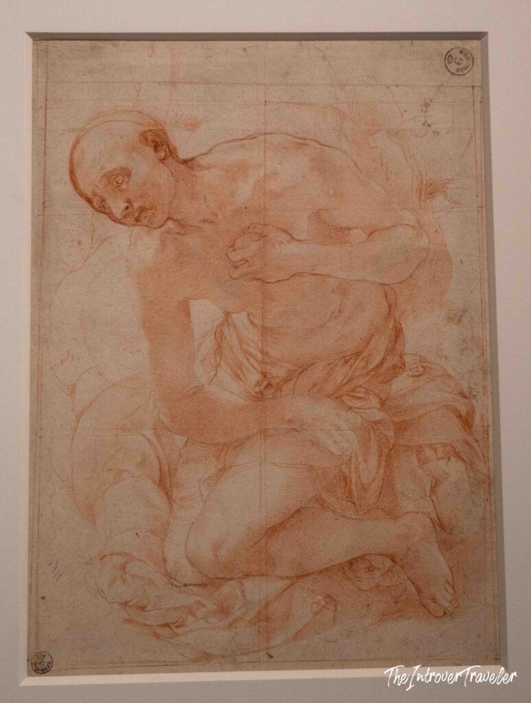 Pontormo's exhibition at the Scuderie del Quirinale, Rome